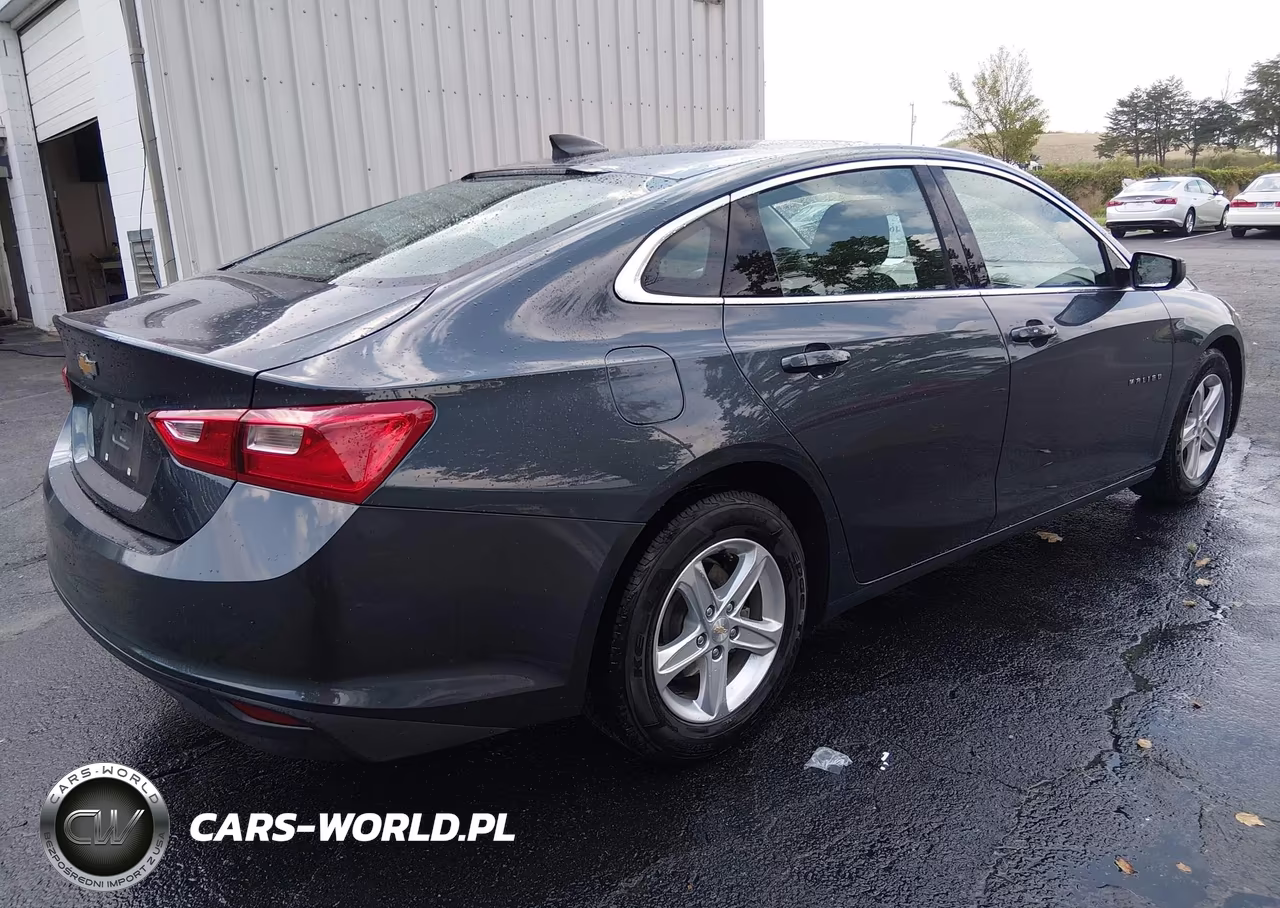 2020 Chevrolet Malibu Fwd 1Fl VIN:1G1ZC5ST1LF150972 - 4