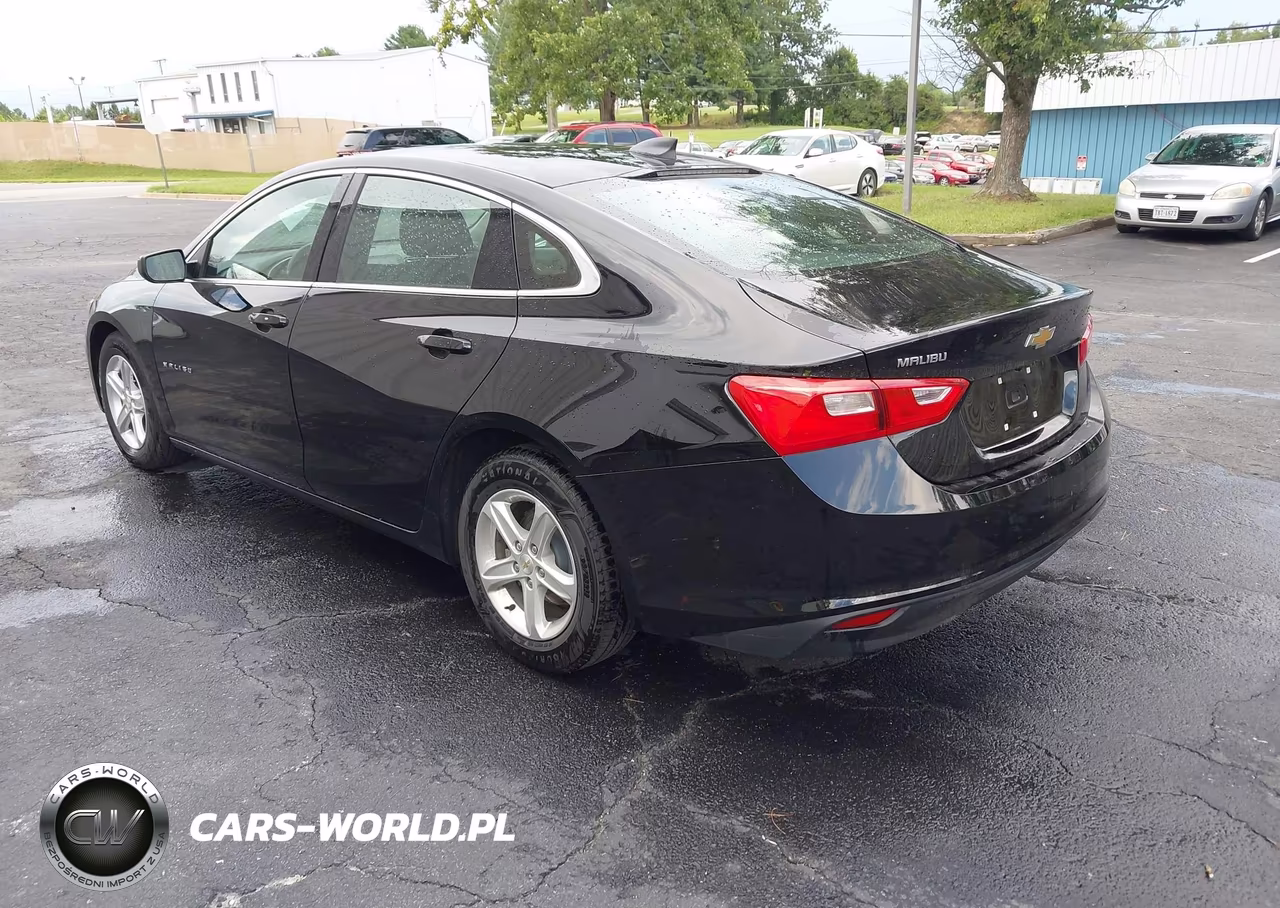 2020 Chevrolet Malibu Fwd 1Fl VIN:1G1ZC5ST0LF150543 - 3