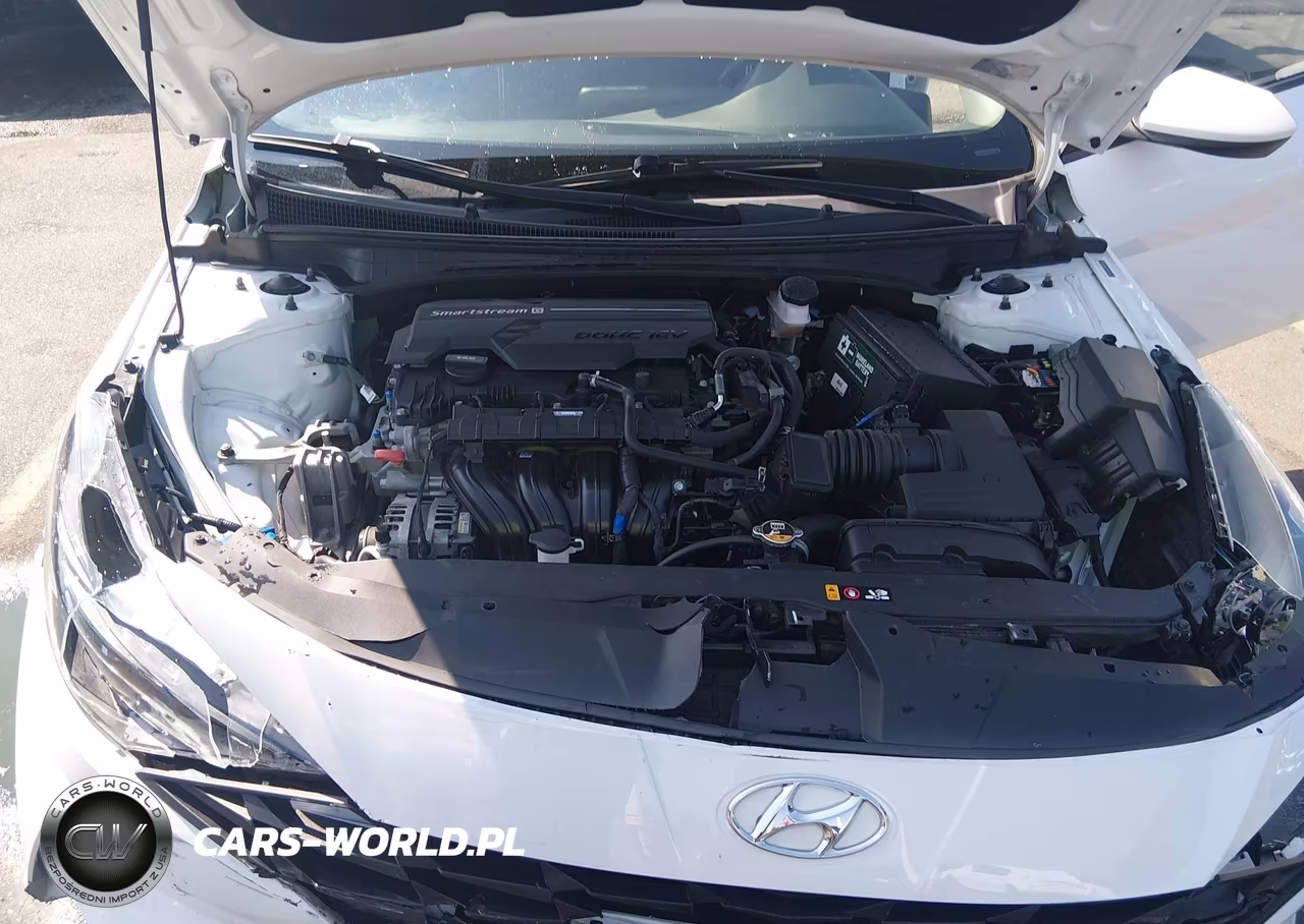 2021 Hyundai Elantra Sel VIN:5NPLS4AGXMH048401 - 10