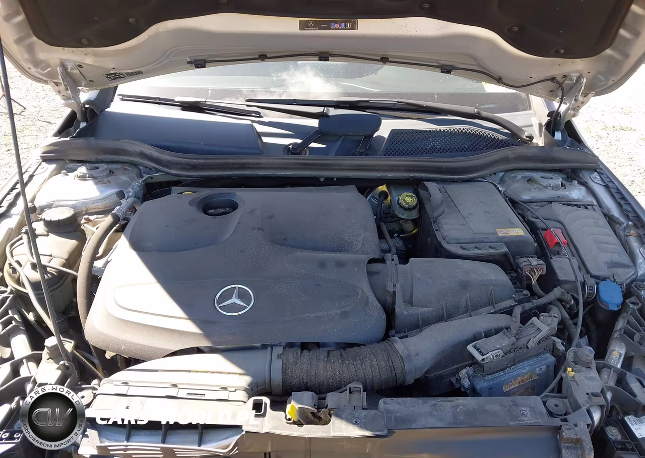 2014 Mercedes-Benz Cla 250 VIN:WDDSJ4EB5EN156252 - 10