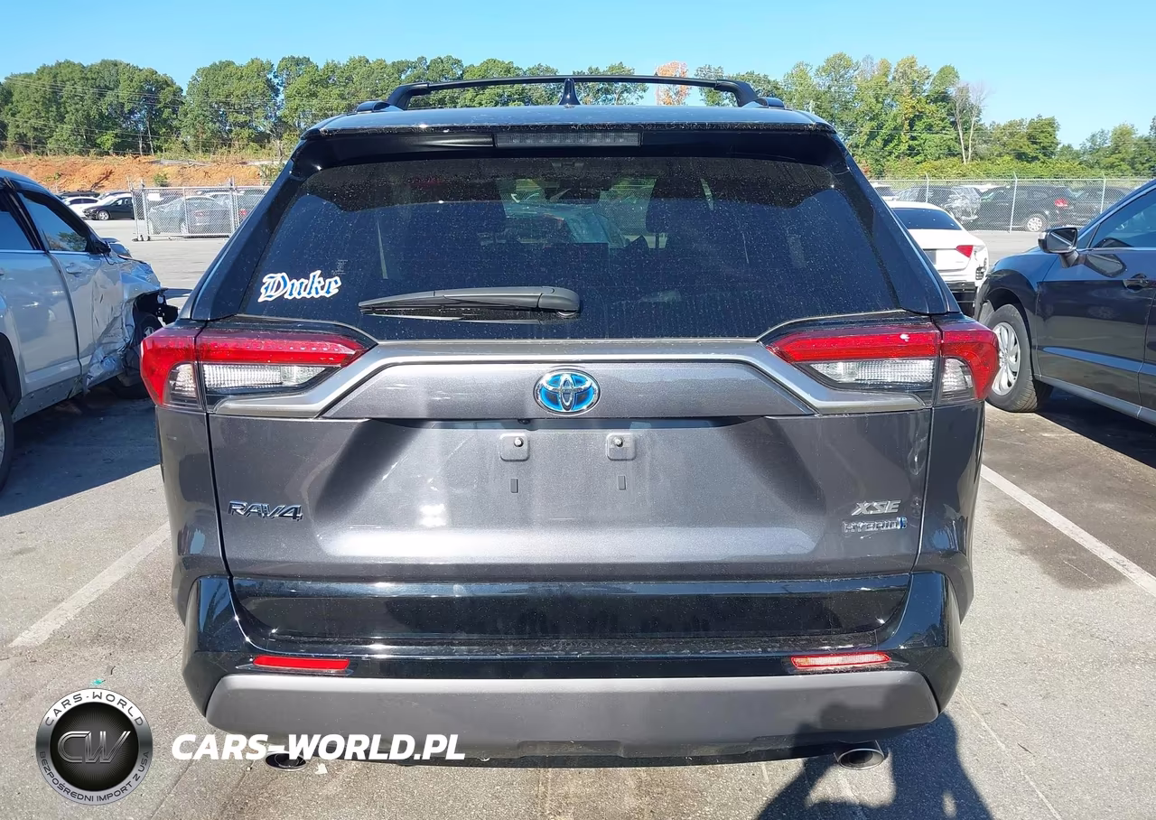 2020 Toyota Rav4 Hybrid Xse VIN:JTMEWRFV2LJ043796 - 17