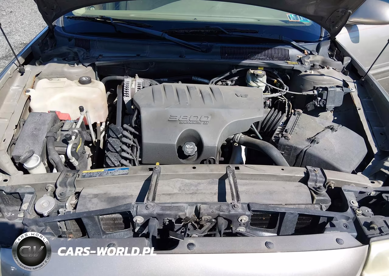 2004 Buick Lesabre Custom VIN:1G4HP52K044143843 - 10