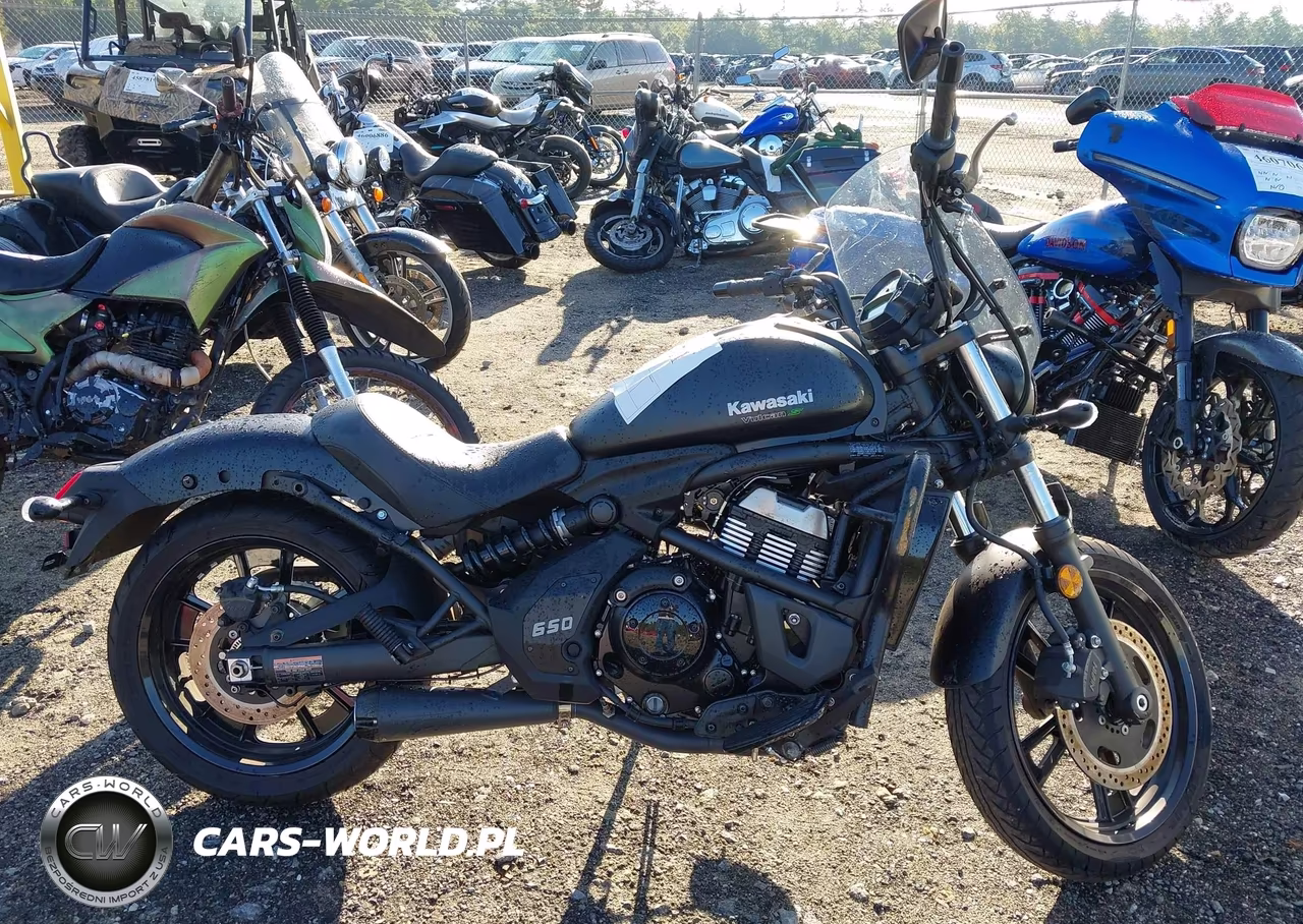 2023 Kawasaki En650 C VIN:JKAENEC1XPDA07434 - 12