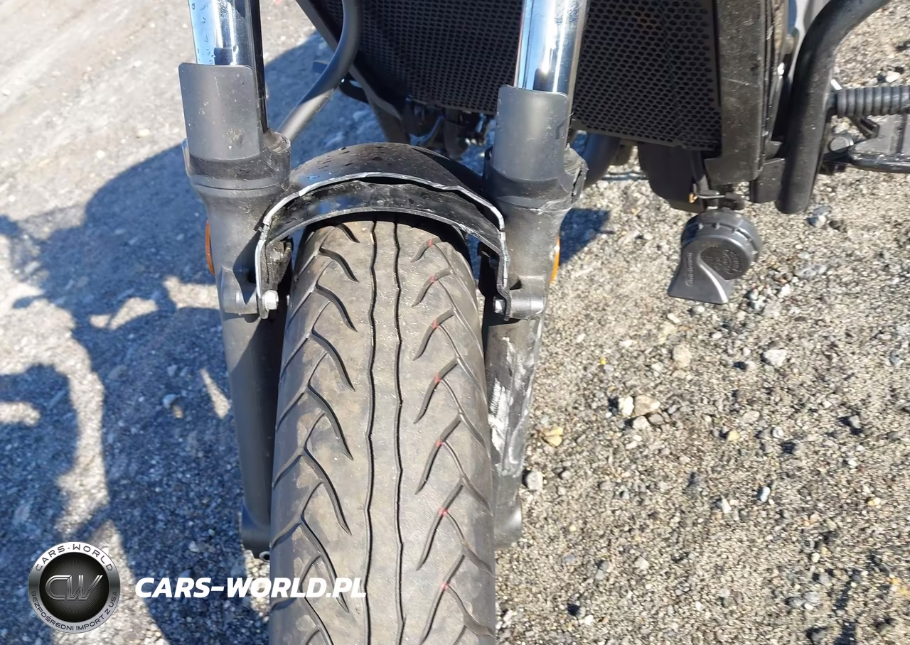 2023 Kawasaki En650 C VIN:JKAENEC1XPDA07434 - 15