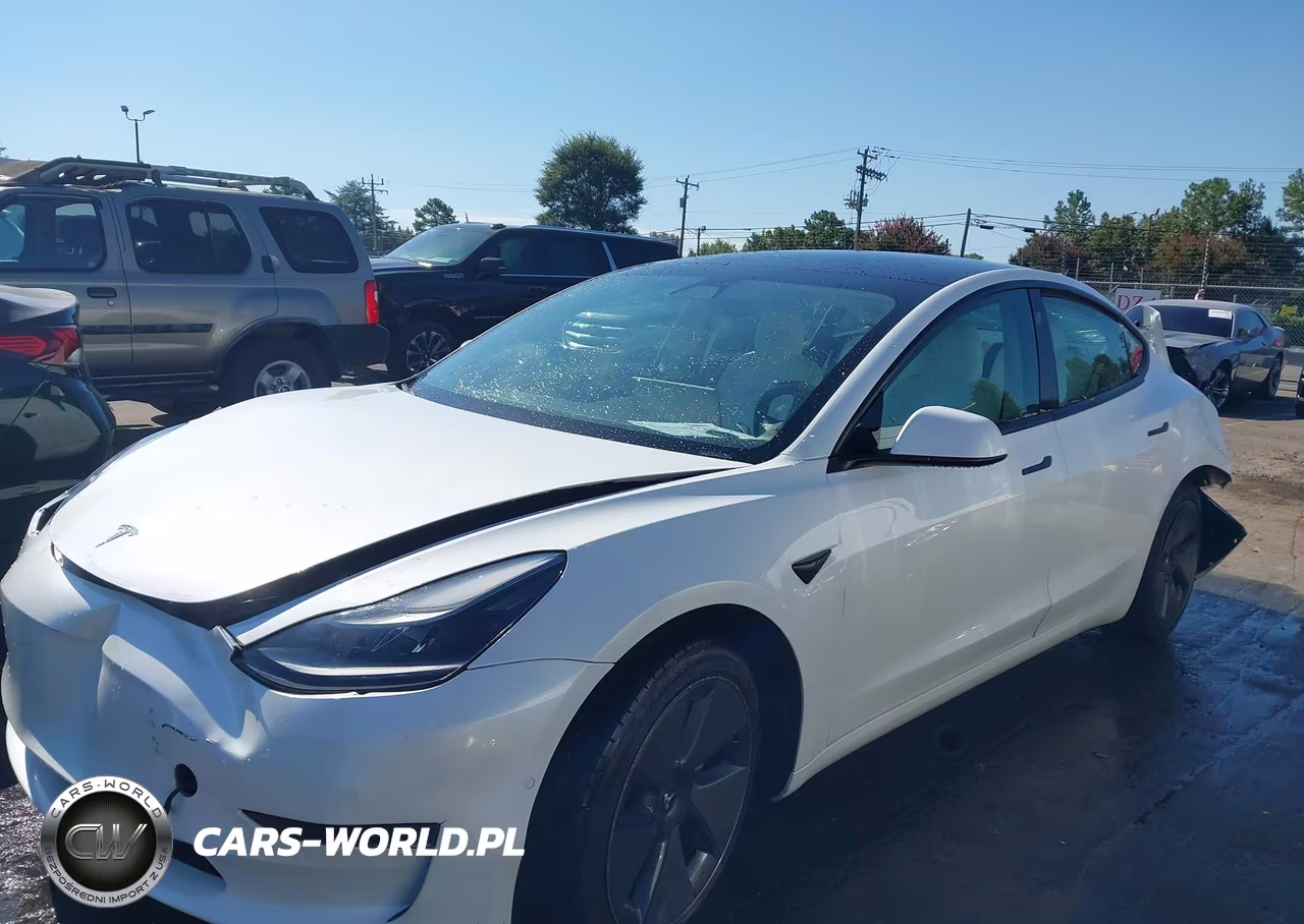 2021 Tesla Model 3 Standard Range Plus Rear-Wheel Drive VIN:5YJ3E1EA0MF921714 - 11