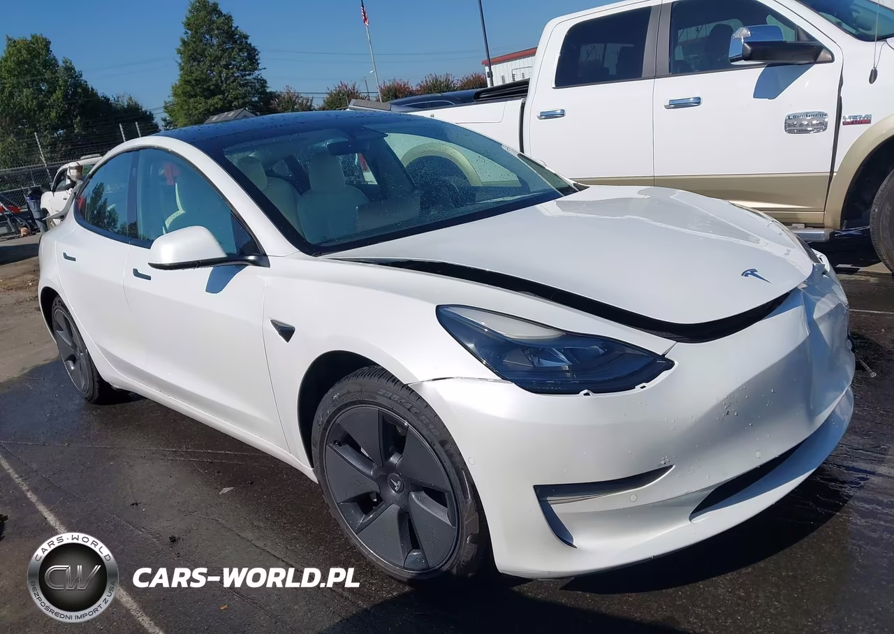 2021 Tesla Model 3 Standard Range Plus Rear-Wheel Drive VIN:5YJ3E1EA0MF921714 - 12