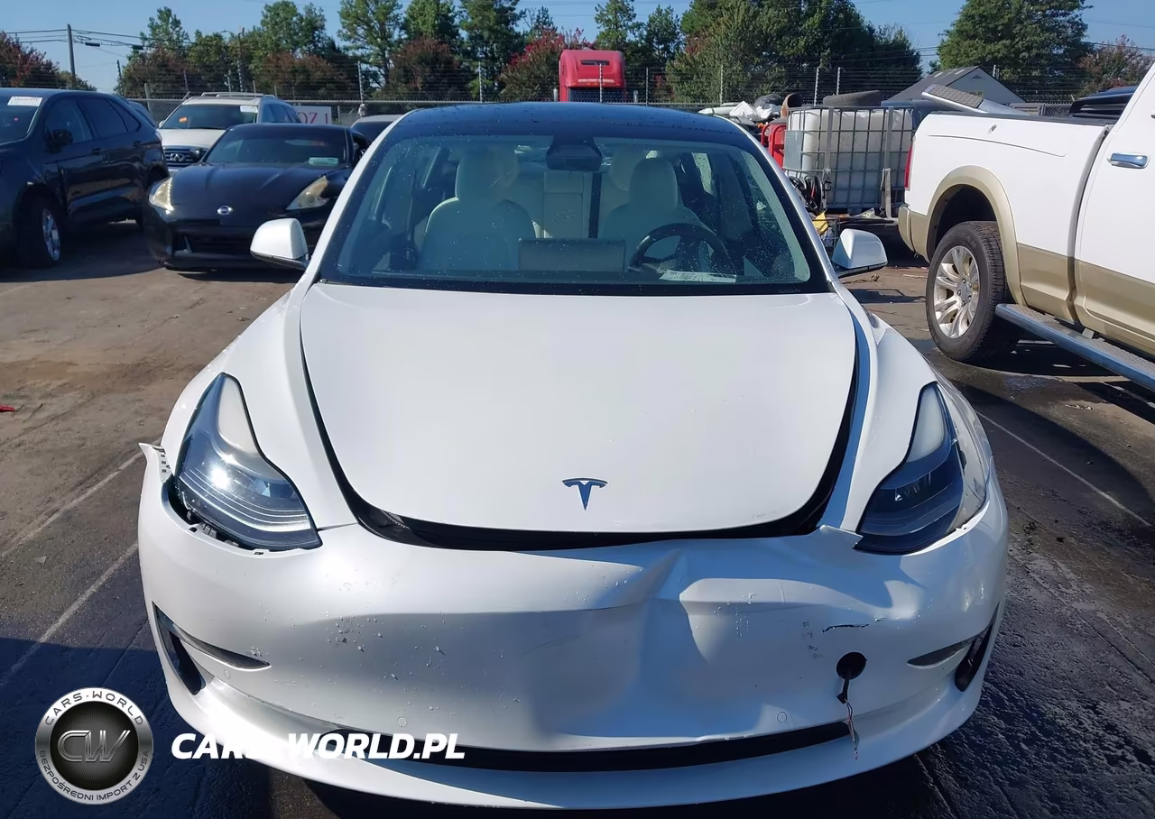 2021 Tesla Model 3 Standard Range Plus Rear-Wheel Drive VIN:5YJ3E1EA0MF921714 - 15