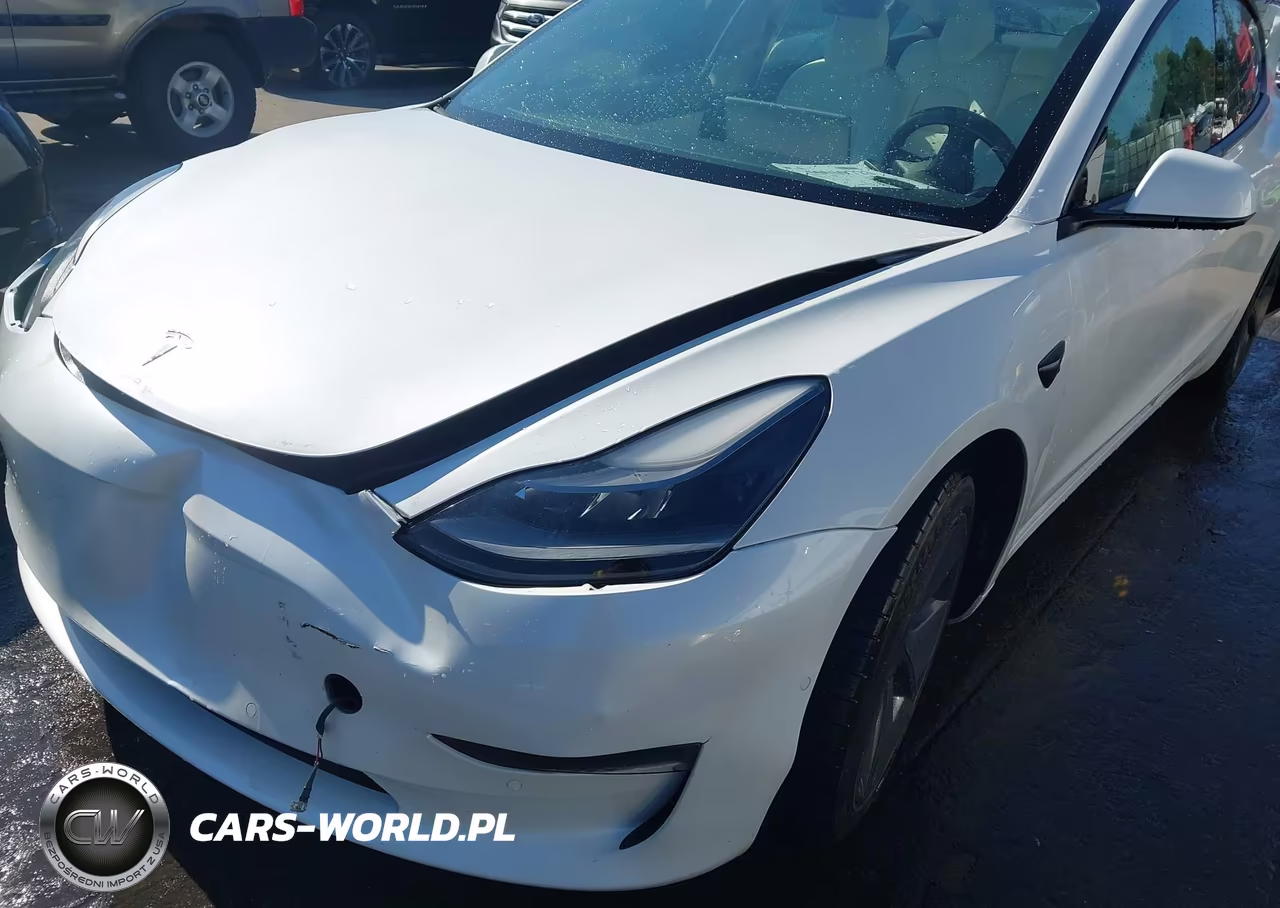 2021 Tesla Model 3 Standard Range Plus Rear-Wheel Drive VIN:5YJ3E1EA0MF921714 - 22