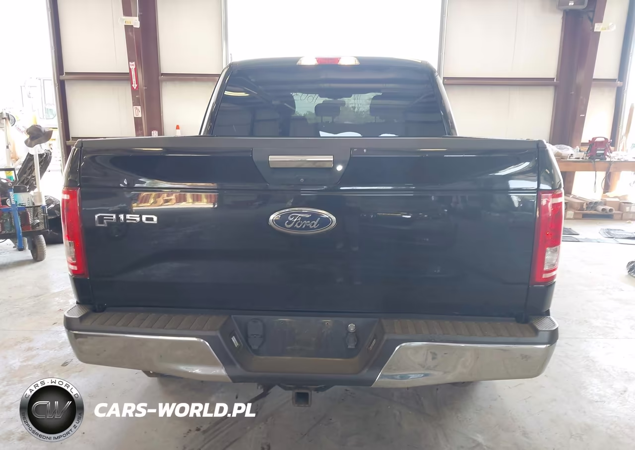 2016 Ford F-150 Xlt VIN:1FTEW1EP6GKD08840 - 16