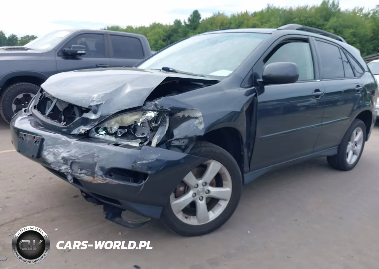 2004 Lexus Rx 330 VIN:JTJHA31U440039759 - 2