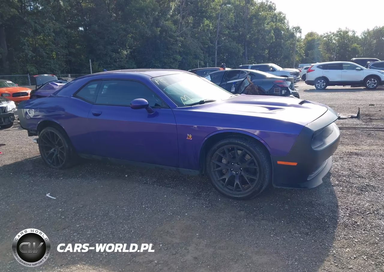 2019 Dodge Challenger R-T Scat Pack VIN:2C3CDZFJ8KH574533 - 14