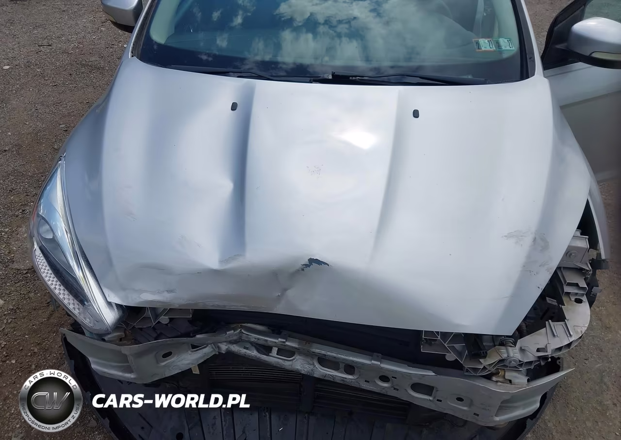 2015 Ford Focus Se VIN:1FADP3F29FL317103 - 10
