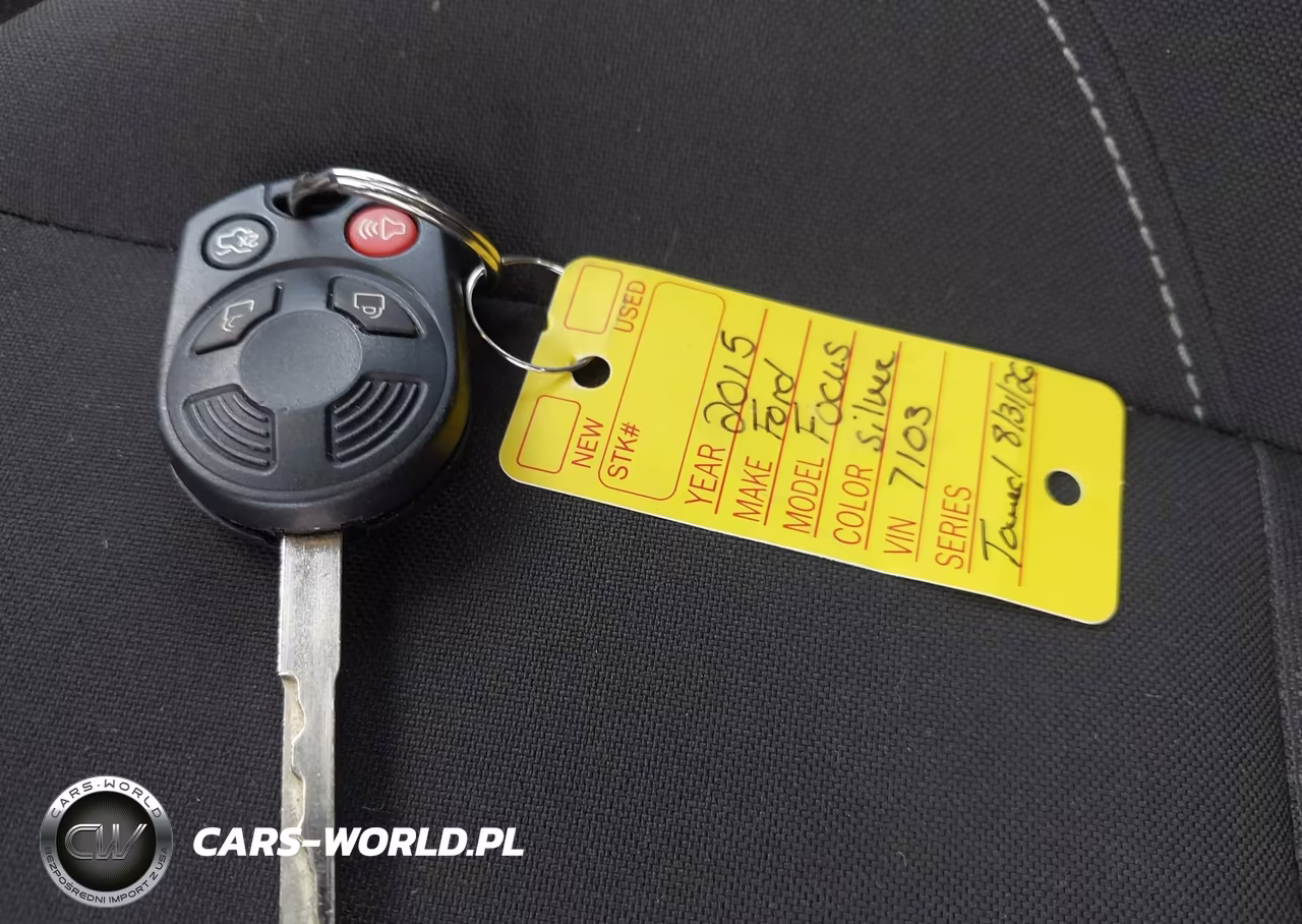 2015 Ford Focus Se VIN:1FADP3F29FL317103 - 11