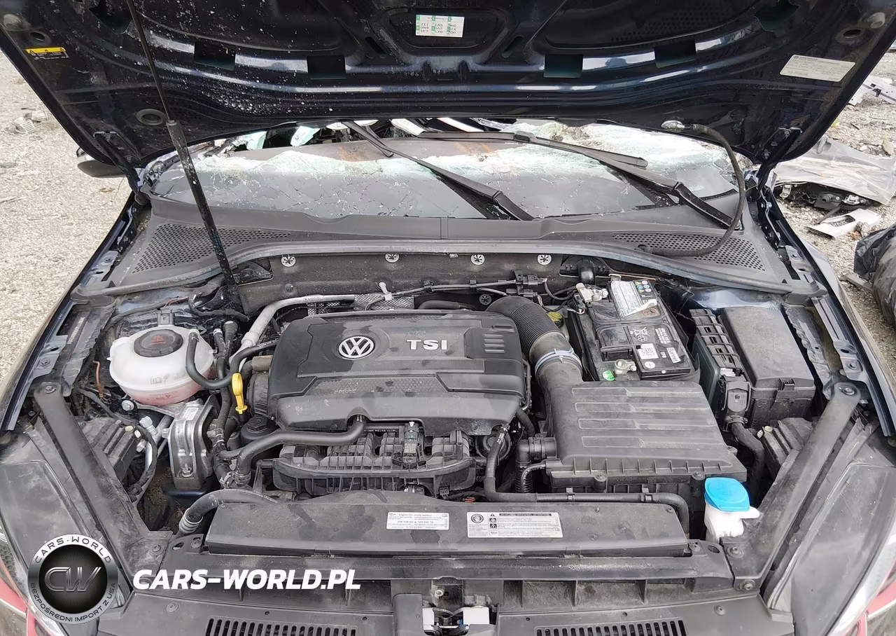 2019 Volkswagen Golf Gti 2.0T Autobahn-2.0T Rabbit Edition-2.0T S-2.0T Se VIN:3VW6T7AU0KM002808 - 10