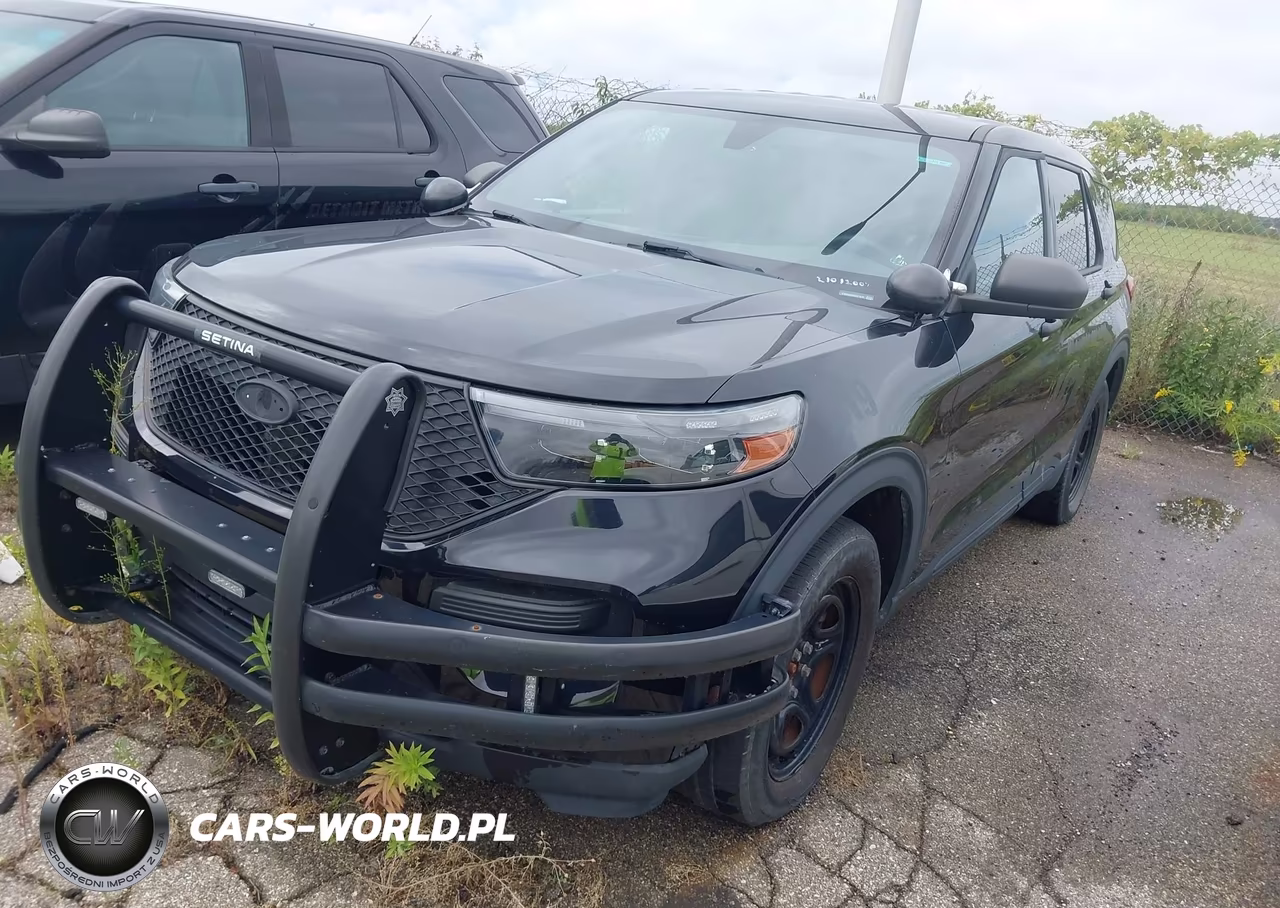 2020 Ford Police Interceptor Utility VIN:1FM5K8AB6LGA71810 - 2