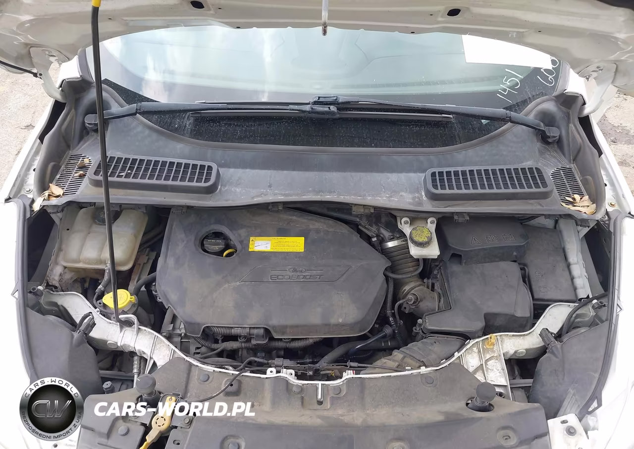 2016 Ford Escape Se VIN:1FMCU0GX4GUC41451 - 10