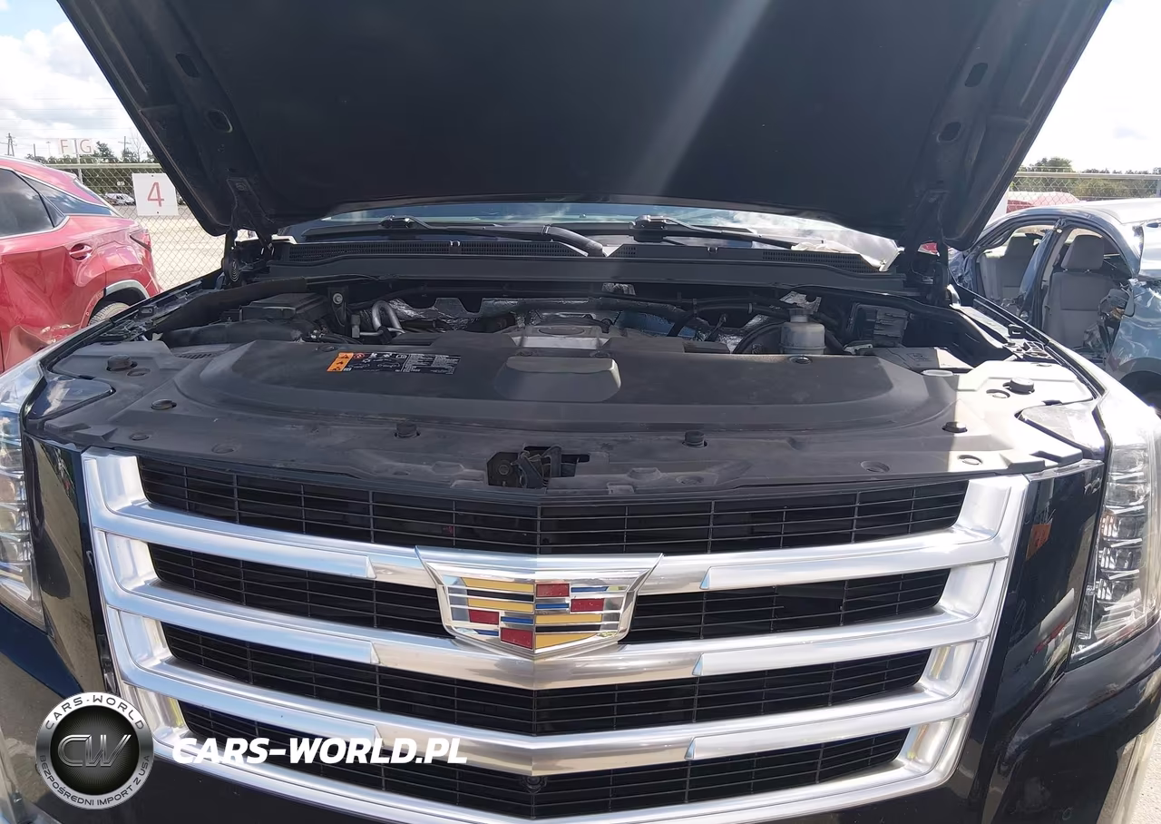 2018 Cadillac Escalade Esv Luxury VIN:1GYS3HKJ4JR164380 - 10