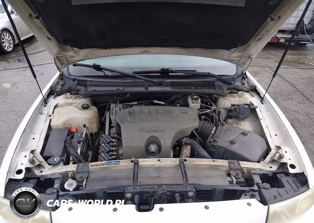 2004 Buick Lesabre Custom VIN:1G4HP52K644107073 - 10