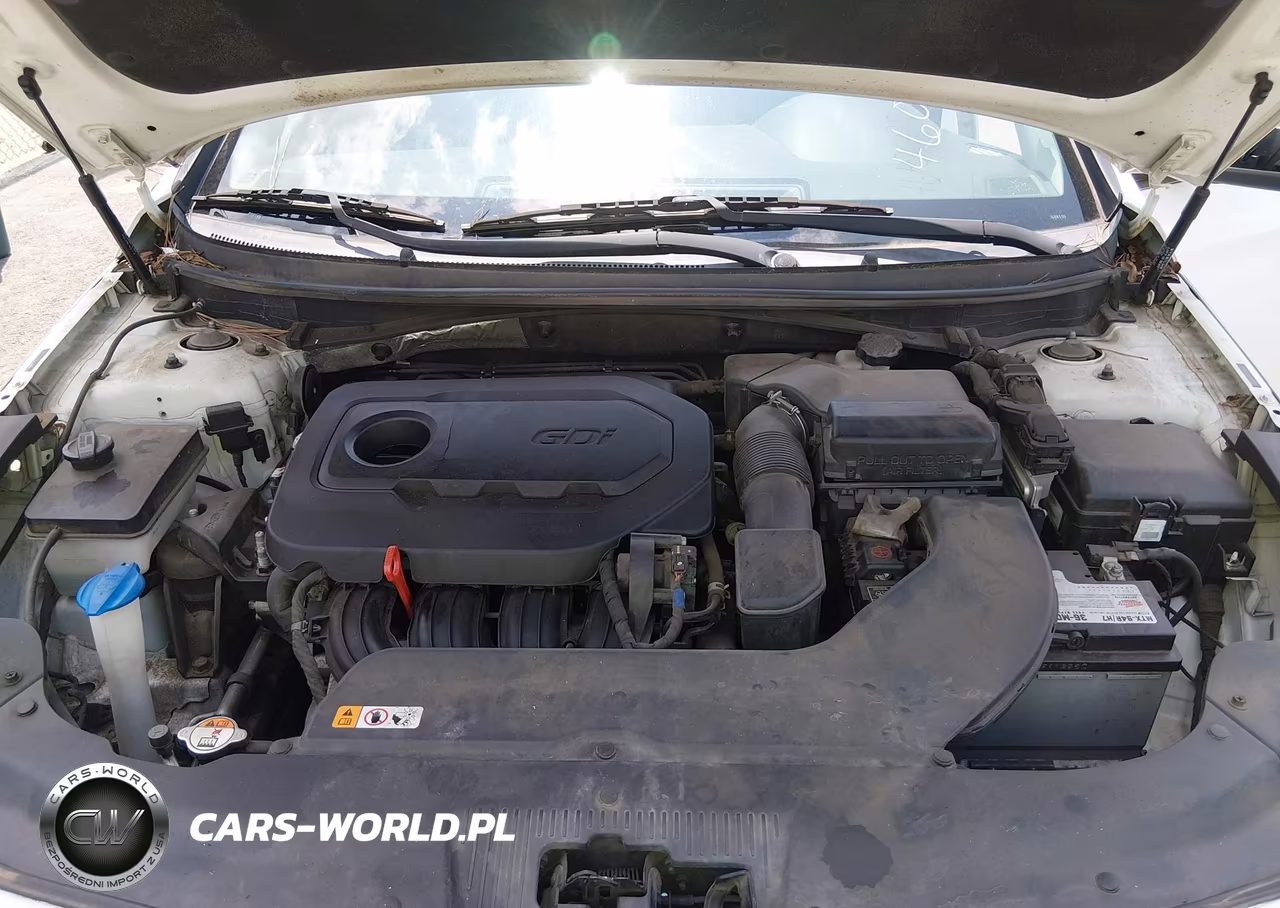 2017 Hyundai Sonata VIN:5NPE24AF6HH528683 - 10