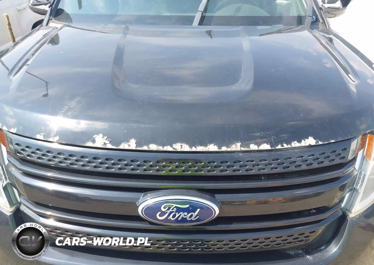 2013 Ford Utility Police Interceptor VIN:1FM5K8AR9DGB84830 - 6