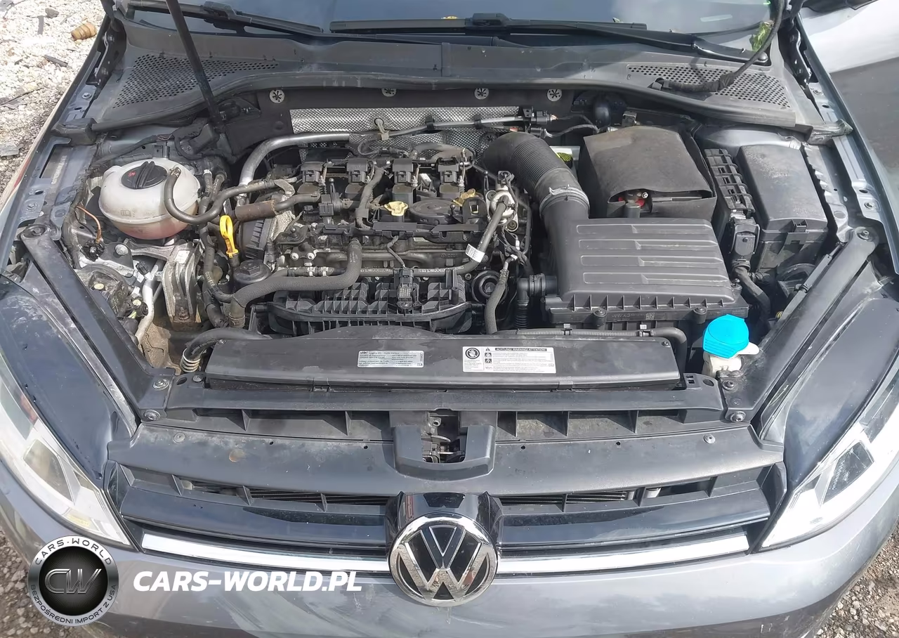 2017 Volkswagen Golf Sportwagen Tsi S VIN:3VW017AU1HM534170 - 10