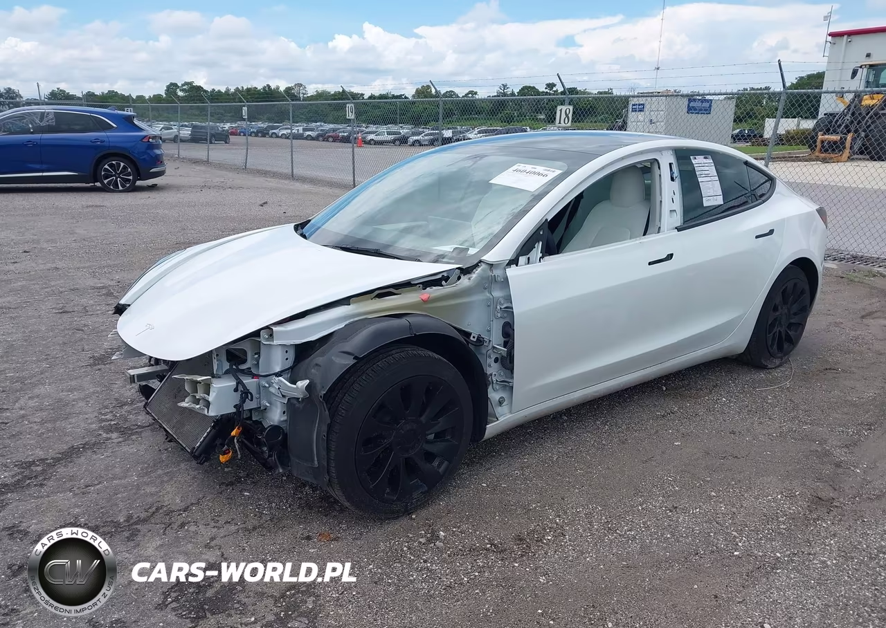 2023 Tesla Model 3 Rear-Wheel Drive VIN:5YJ3E1EA6PF423683 - 2
