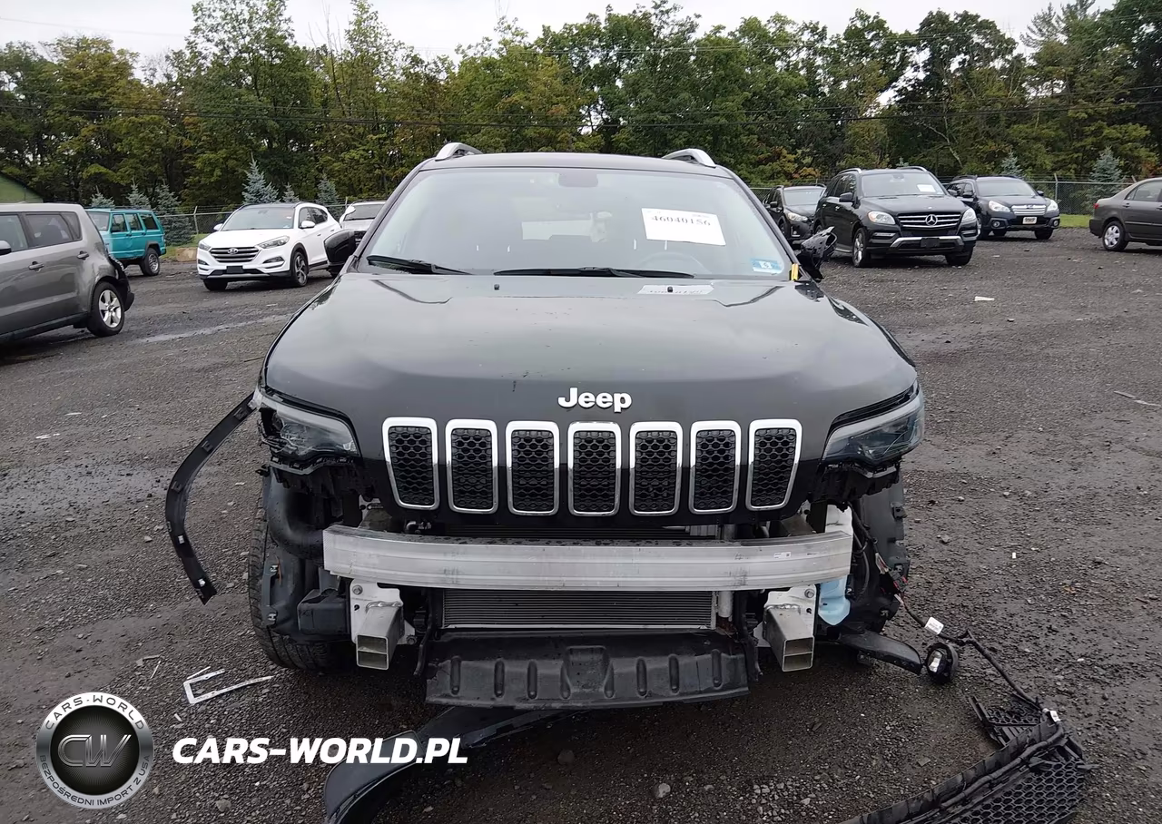 2020 Jeep Cherokee Limited 4X4 VIN:1C4PJMDX2LD559234 - 12
