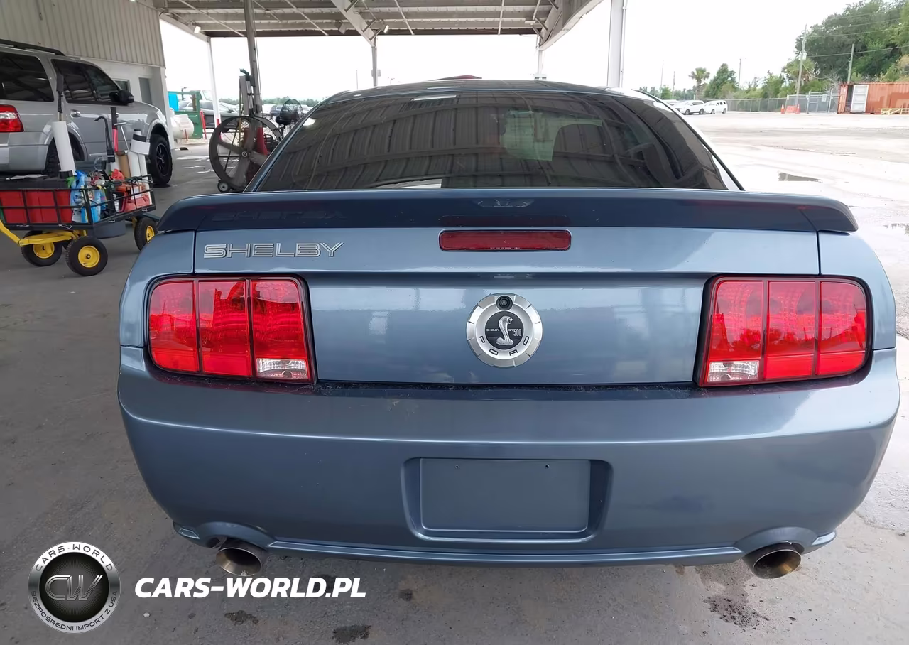 2006 Ford Mustang V6 VIN:1ZVHT80N265261840 - 17