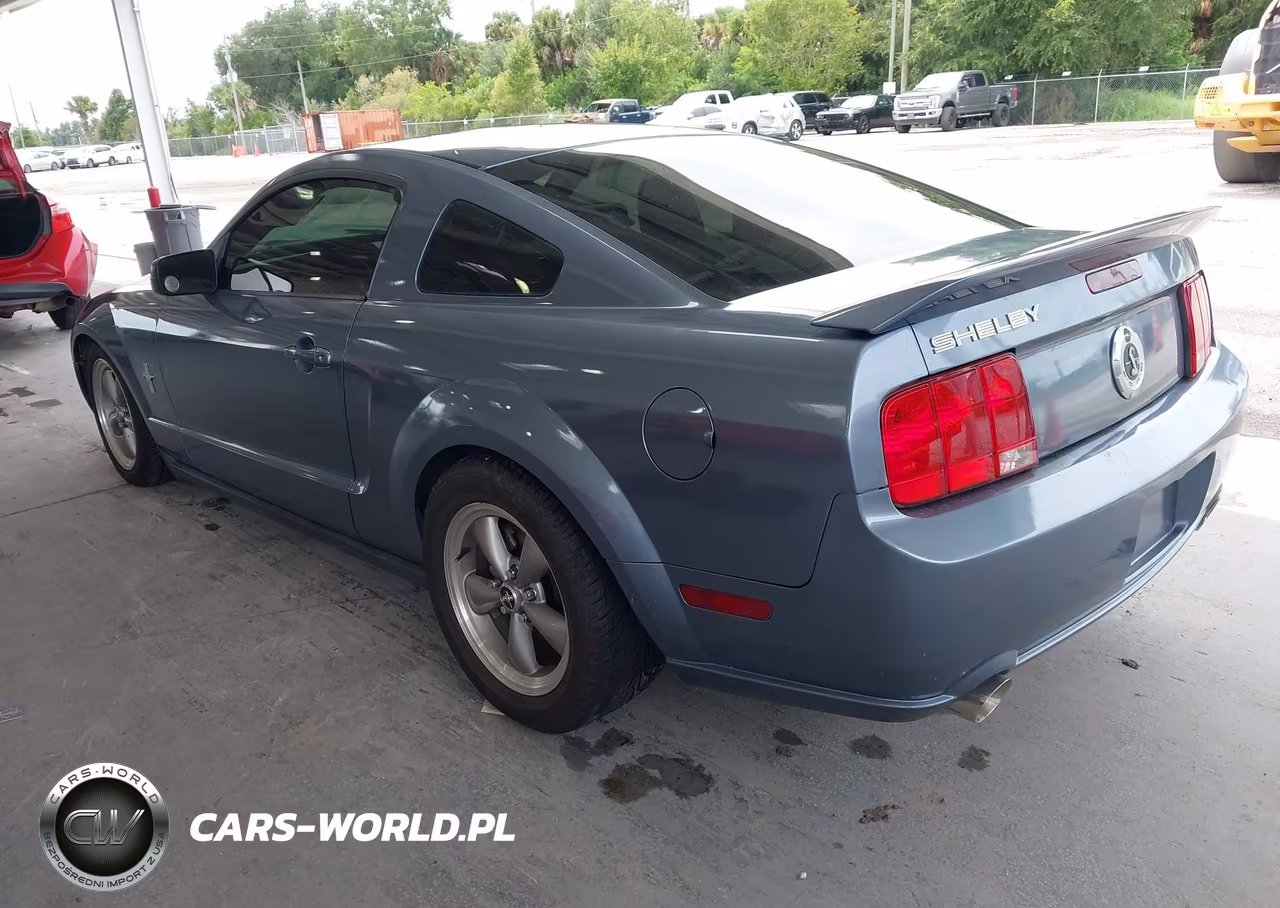 2006 Ford Mustang V6 VIN:1ZVHT80N265261840 - 3