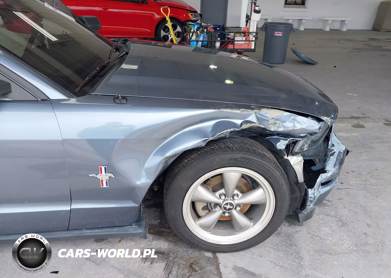 2006 Ford Mustang V6 VIN:1ZVHT80N265261840 - 6