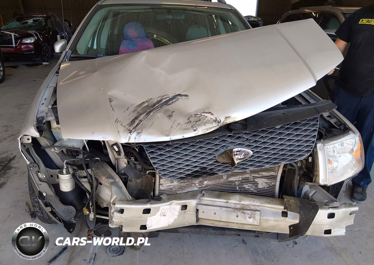 2006 Ford Freestyle Sel VIN:1FMZK021X6GA53338 - 13
