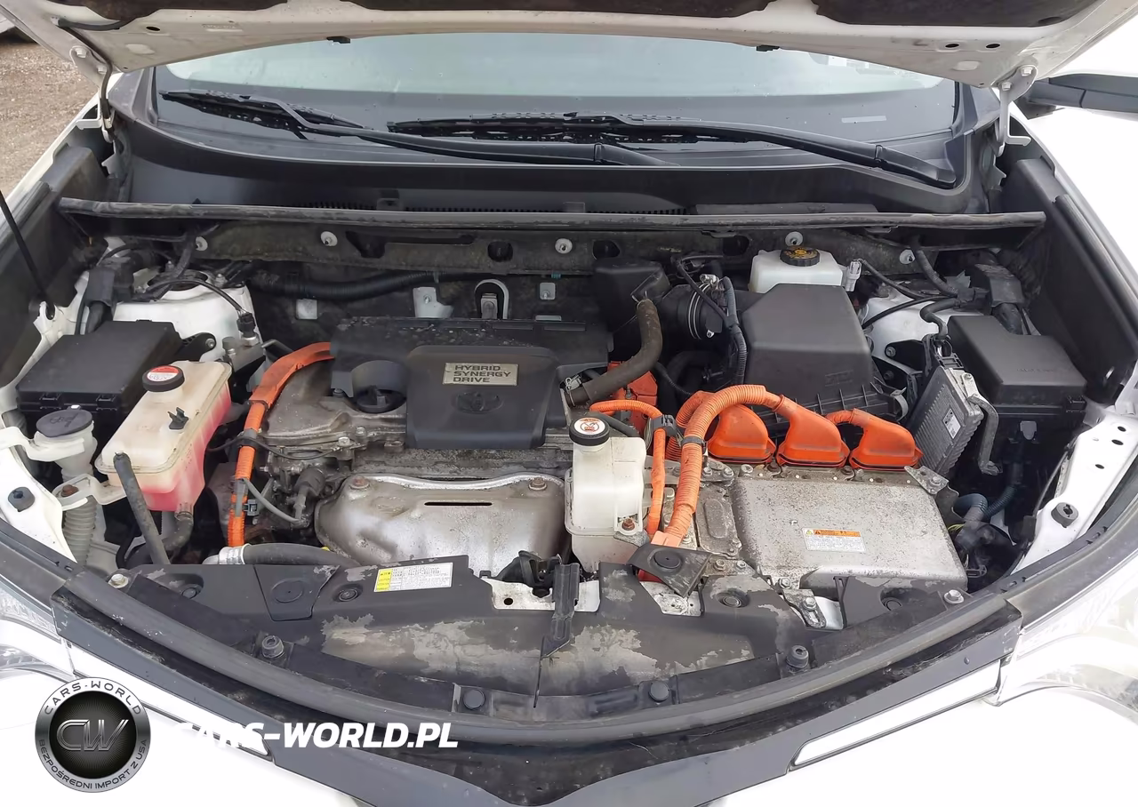 2016 Toyota Rav4 Hybrid Xle VIN:JTMRJREV5GD043460 - 10