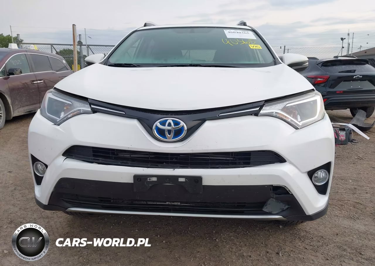 2016 Toyota Rav4 Hybrid Xle VIN:JTMRJREV5GD043460 - 12