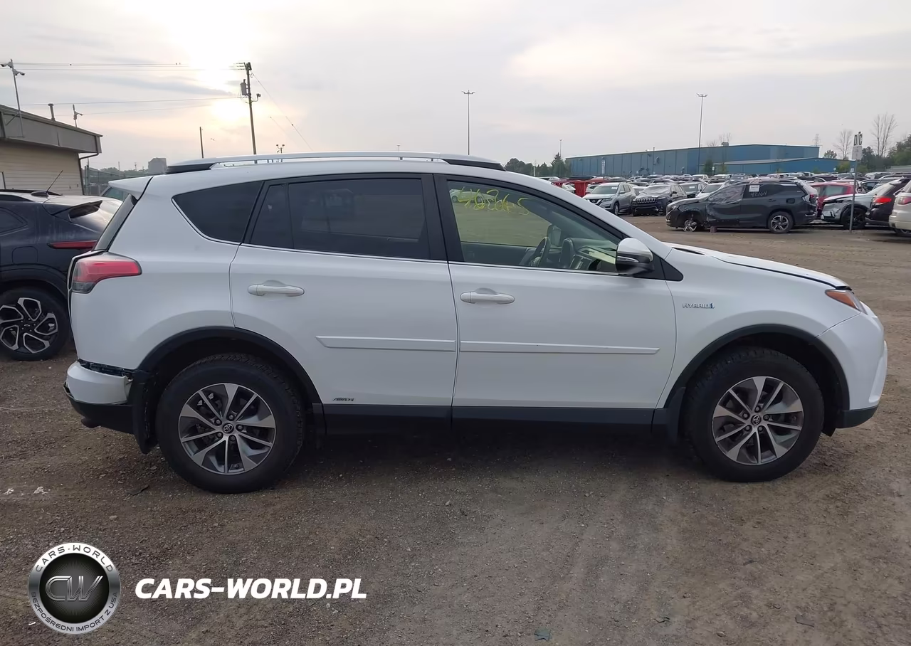 2016 Toyota Rav4 Hybrid Xle VIN:JTMRJREV5GD043460 - 13