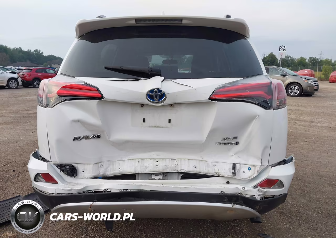 2016 Toyota Rav4 Hybrid Xle VIN:JTMRJREV5GD043460 - 16