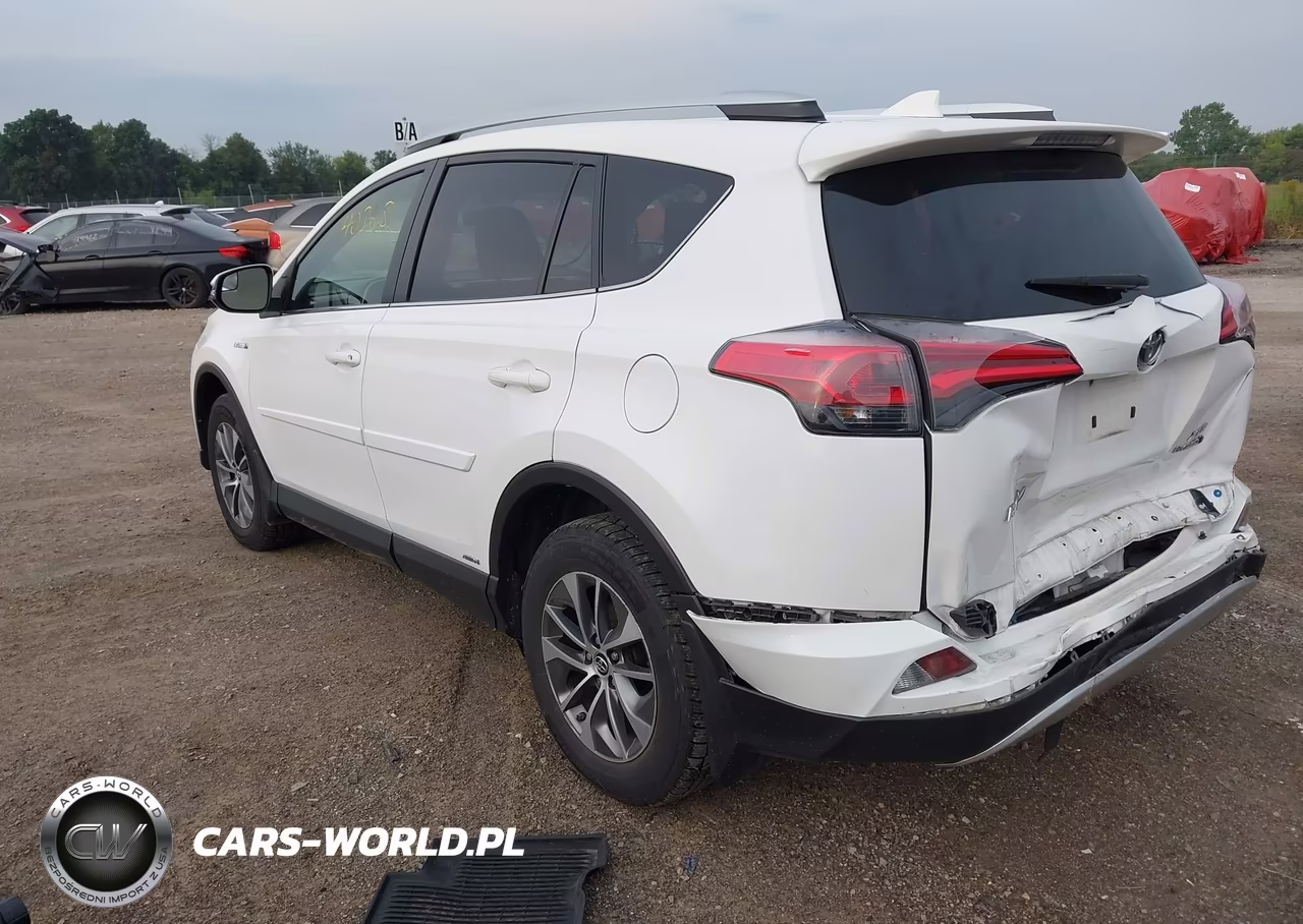 2016 Toyota Rav4 Hybrid Xle VIN:JTMRJREV5GD043460 - 3