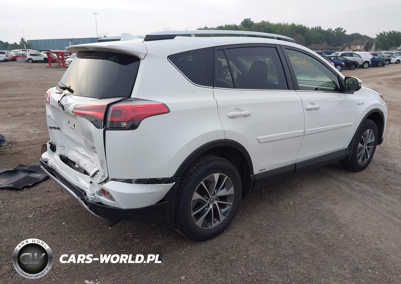 2016 Toyota Rav4 Hybrid Xle VIN:JTMRJREV5GD043460 - 4