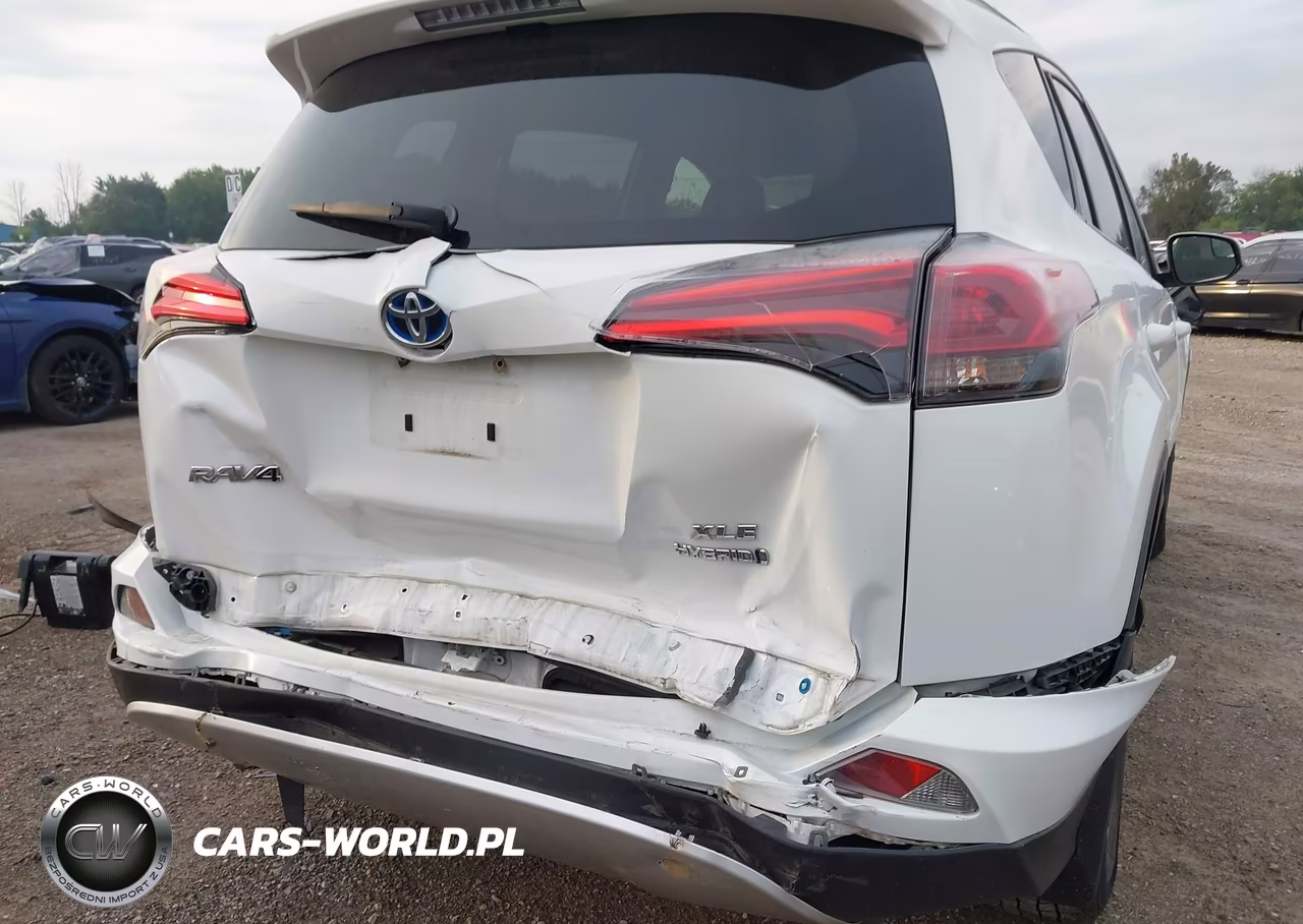 2016 Toyota Rav4 Hybrid Xle VIN:JTMRJREV5GD043460 - 6
