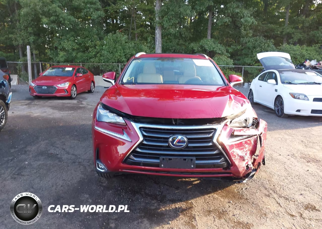 2015 Lexus Nx 300H VIN:JTJBJRBZ2F2018337 - 12