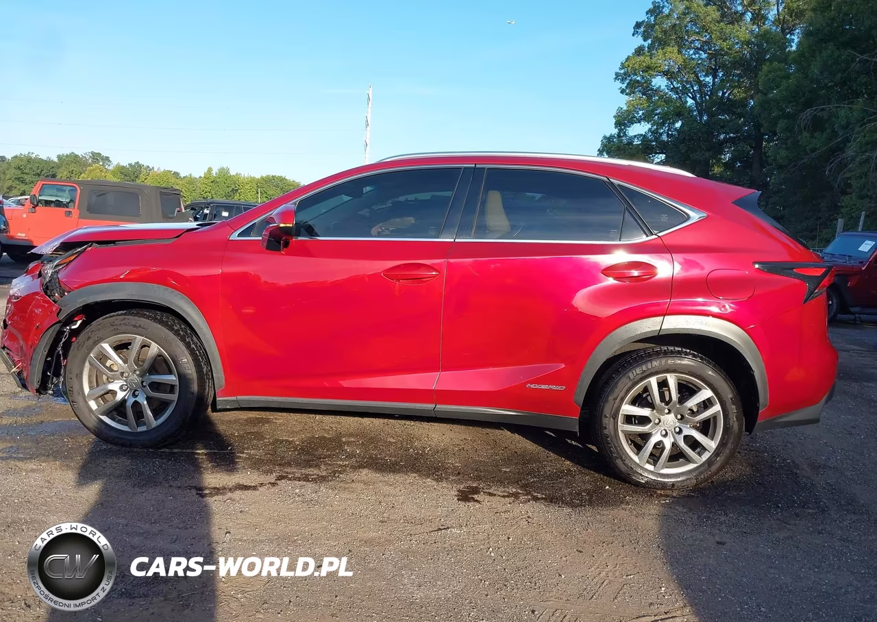 2015 Lexus Nx 300H VIN:JTJBJRBZ2F2018337 - 14
