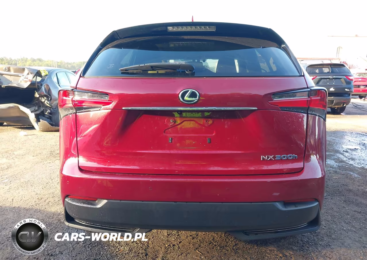 2015 Lexus Nx 300H VIN:JTJBJRBZ2F2018337 - 16