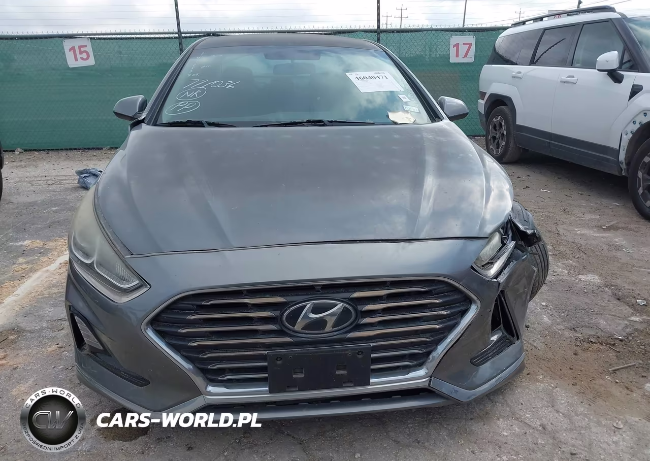 2019 Hyundai Sonata Se VIN:5NPE24AF2KH777036 - 12