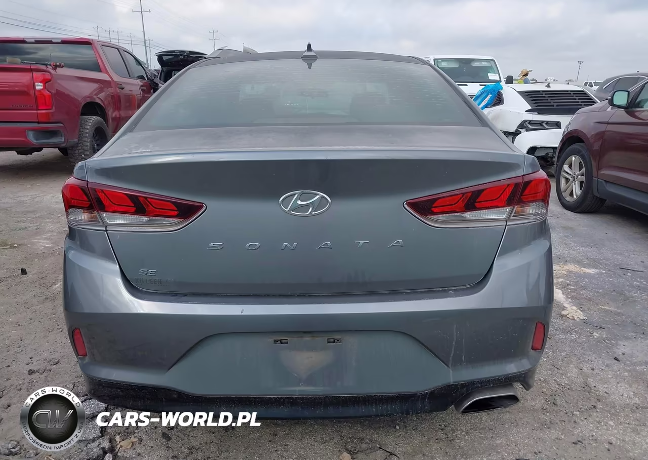 2019 Hyundai Sonata Se VIN:5NPE24AF2KH777036 - 16