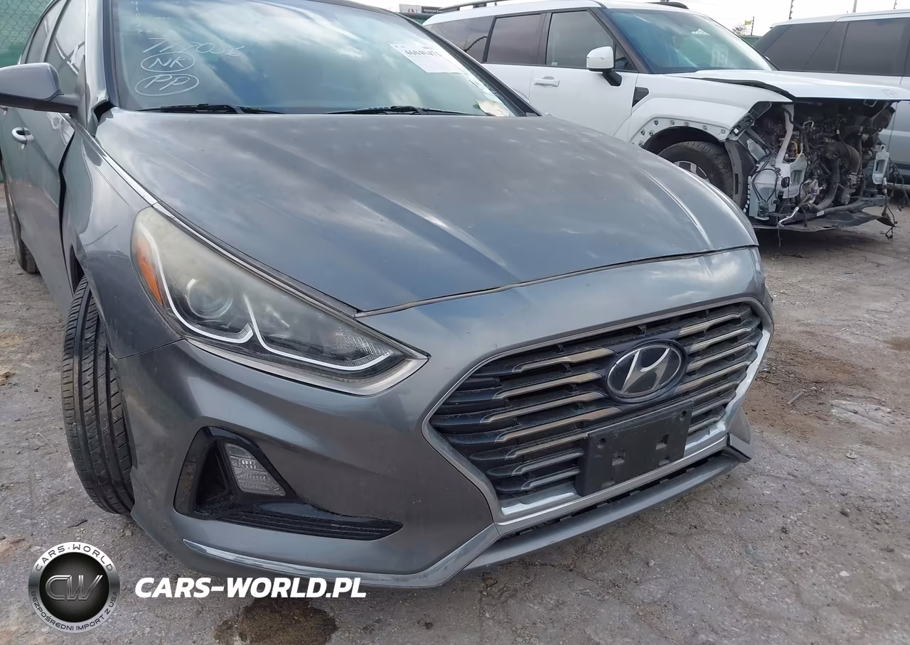2019 Hyundai Sonata Se VIN:5NPE24AF2KH777036 - 18