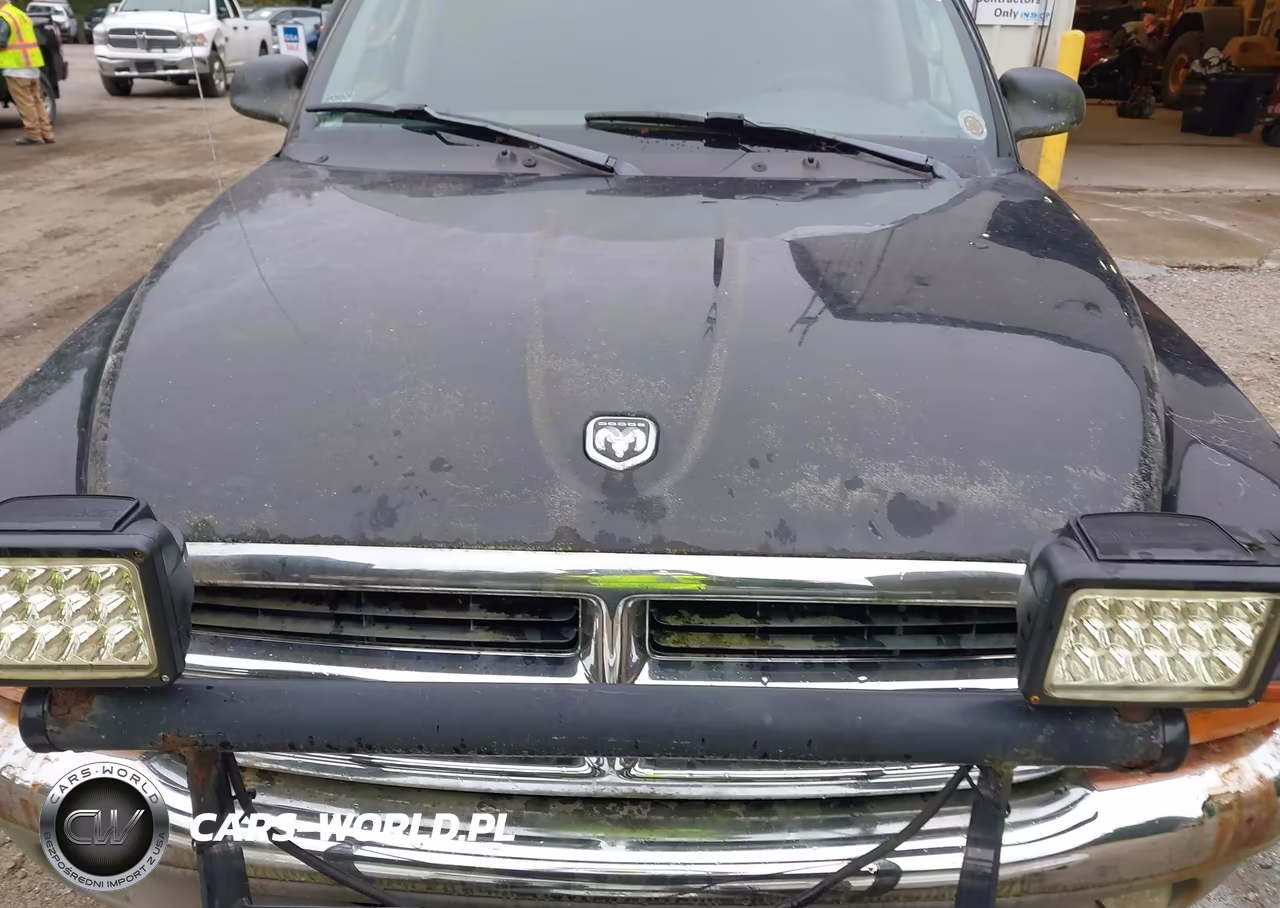 2004 Dodge Dakota Slt VIN:1D7HG48N94S735341 - 6