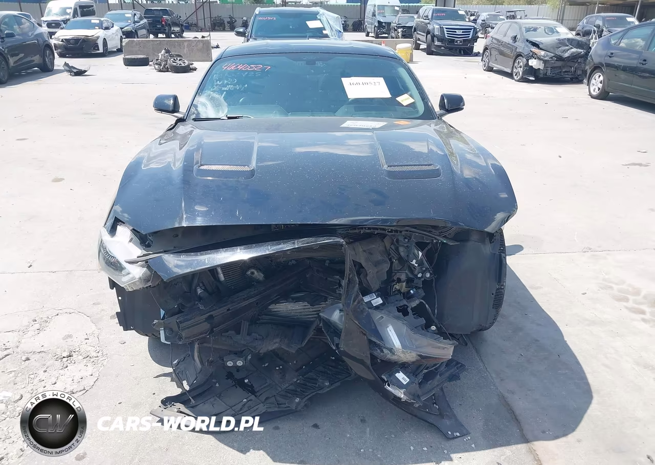2020 Ford Mustang Ecoboost Premium Fastback VIN:1FA6P8TH6L5181625 - 13