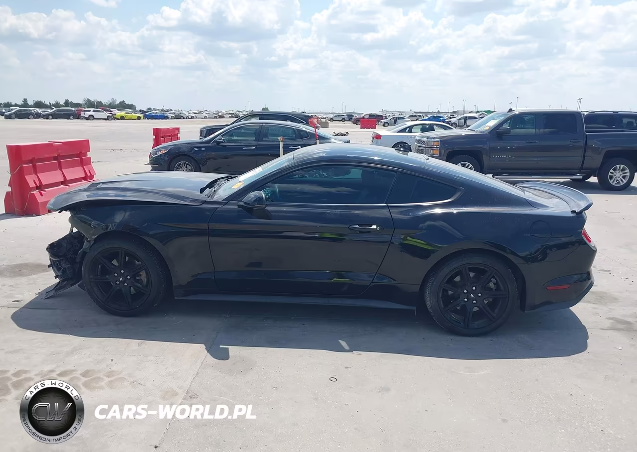 2020 Ford Mustang Ecoboost Premium Fastback VIN:1FA6P8TH6L5181625 - 15