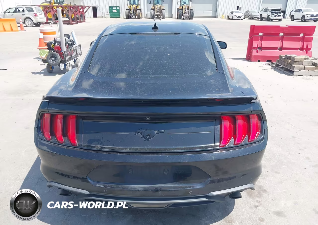 2020 Ford Mustang Ecoboost Premium Fastback VIN:1FA6P8TH6L5181625 - 17