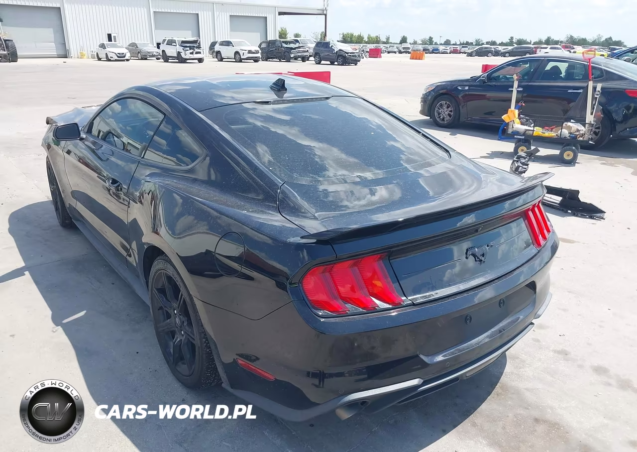2020 Ford Mustang Ecoboost Premium Fastback VIN:1FA6P8TH6L5181625 - 3