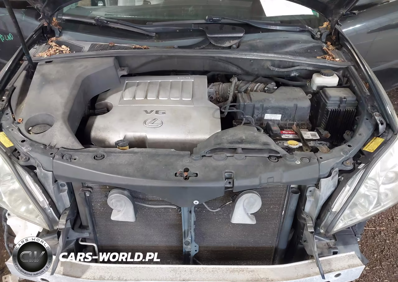 2009 Lexus Rx 350 VIN:2T2HK31U29C133793 - 10